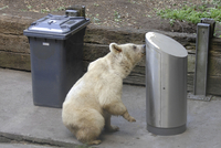 Härtetest im Tierpark Goldau © M.Würtenberg